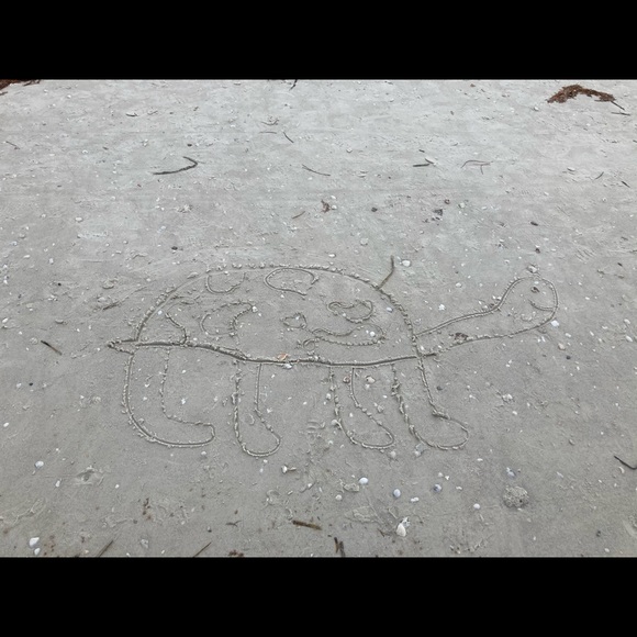 Meet your Posher, Daniel - Picture 1 of 1